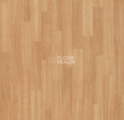 Линолеум Forbo Eternal Wood 11442 washed beech фото 1 | FLOORDEALER